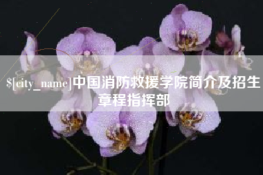 丰城中国消防救援学院简介及招生章程指挥部