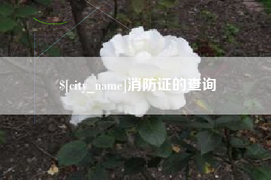 丰城消防证的查询