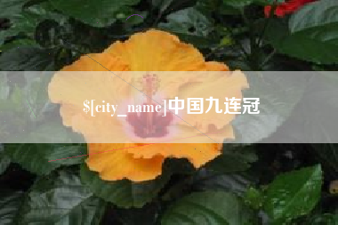 丰城中国九连冠
