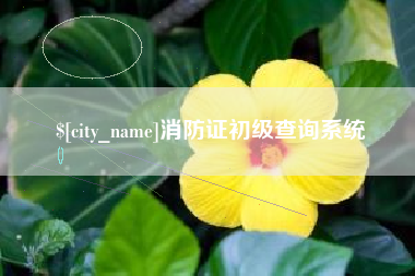 丰城消防证初级查询系统