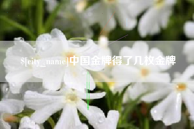 丰城中国金牌得了几枚金牌