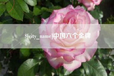 丰城中国六个金牌