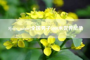 丰城全国男子5000米世界纪录
