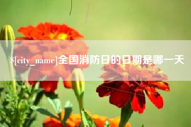 丰城全国消防日的日期是哪一天