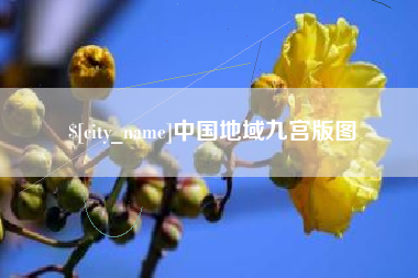 丰城中国地域九宫版图