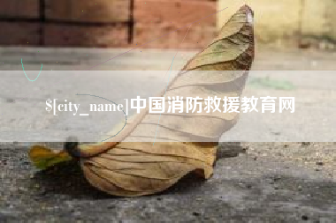 丰城中国消防救援教育网