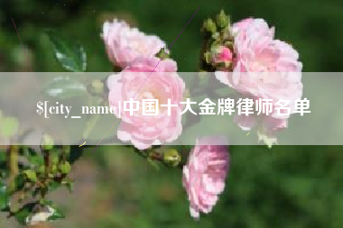 丰城中国十大金牌律师名单