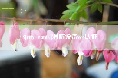 丰城消防设备ccc认证