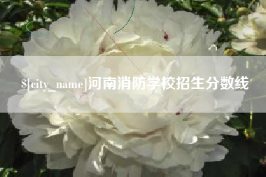 丰城河南消防学校招生分数线