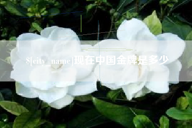 丰城现在中国金牌是多少