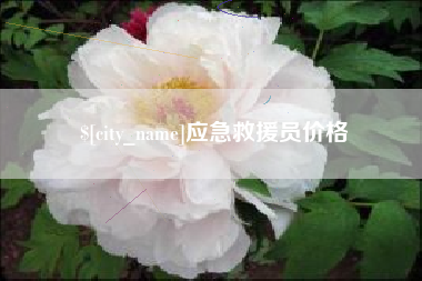 丰城应急救援员价格