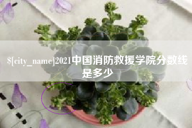 丰城2021中国消防救援学院分数线是多少