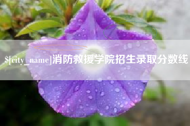 丰城消防救援学院招生录取分数线