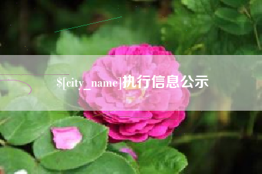 丰城执行信息公示