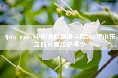丰城中国消防救援学院2021年山东录取分数线是多少