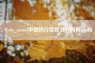 丰城中国执行信息公开网有app吗