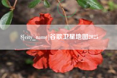 丰城谷歌卫星地图2025