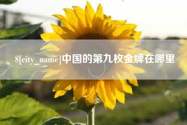 丰城中国的第九枚金牌在哪里