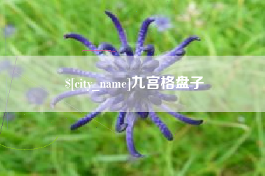 丰城九宫格盘子