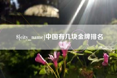 丰城中国有几块金牌排名