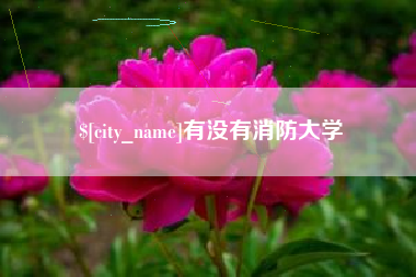 丰城有没有消防大学