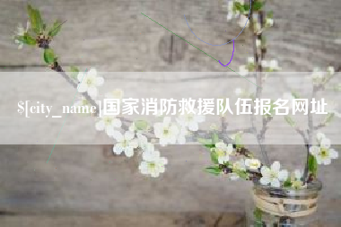 丰城国家消防救援队伍报名网址