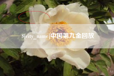 丰城中国第九金回放