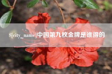 丰城中国第九枚金牌是谁得的