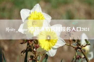 丰城中国消防官网报名入口2024