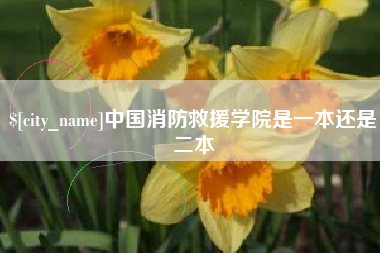 丰城中国消防救援学院是一本还是二本