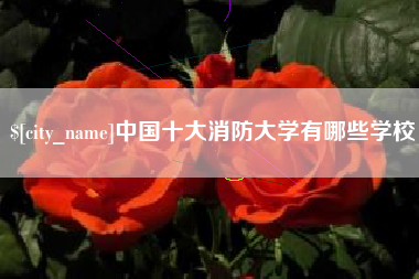 丰城中国十大消防大学有哪些学校