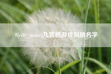 丰城九宫格游戏叫啥名字