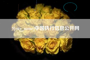 丰城中国执行信息公开网