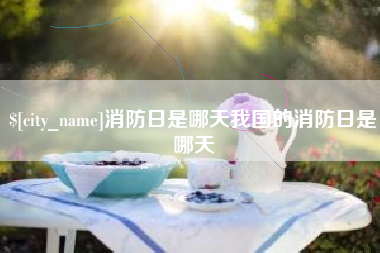 丰城消防日是哪天我国的消防日是哪天