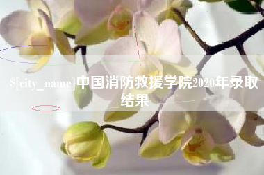 丰城中国消防救援学院2020年录取结果