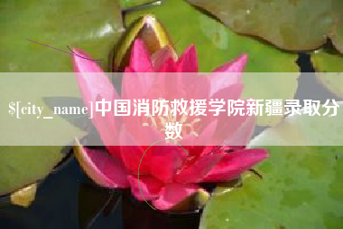 丰城中国消防救援学院新疆录取分数