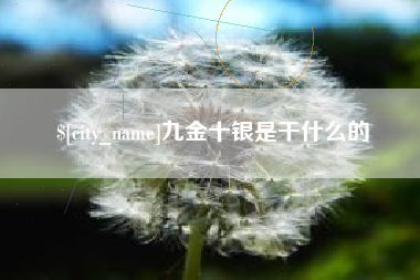 丰城九金十银是干什么的
