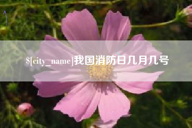 丰城我国消防日几月几号