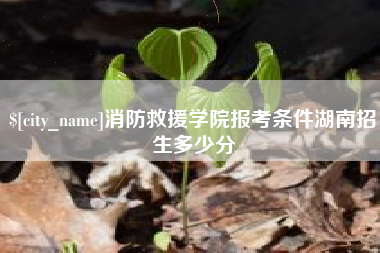 丰城消防救援学院报考条件湖南招生多少分