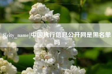 丰城中国执行信息公开网是黑名单吗