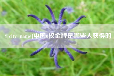 丰城中国6枚金牌是哪些人获得的