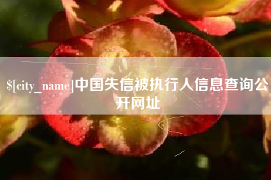 丰城中国失信被执行人信息查询公开网址