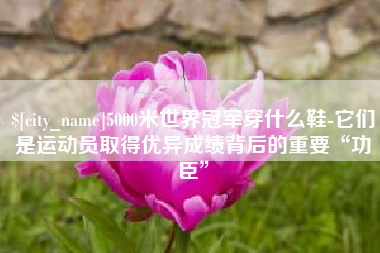 丰城5000米世界冠军穿什么鞋-它们是运动员取得优异成绩背后的重要“功臣”