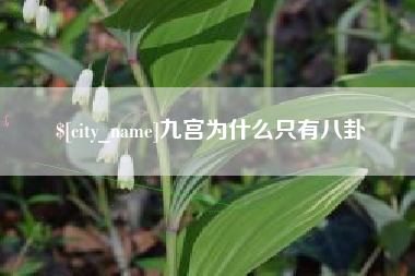 丰城九宫为什么只有八卦