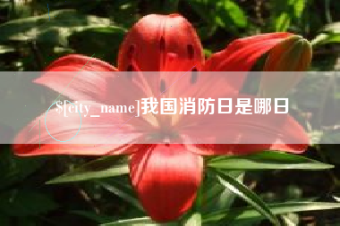 丰城我国消防日是哪日