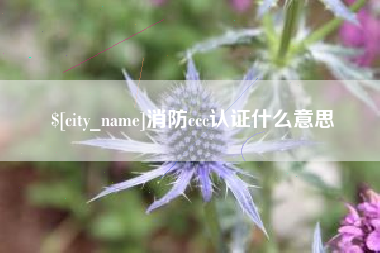 丰城消防ccc认证什么意思