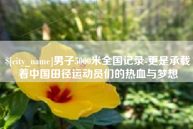 丰城男子5000米全国记录-更是承载着中国田径运动员们的热血与梦想