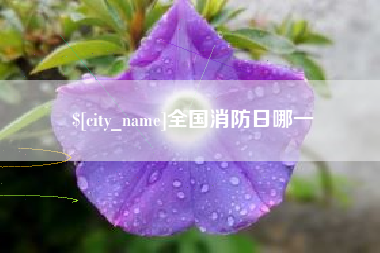 丰城全国消防日哪一