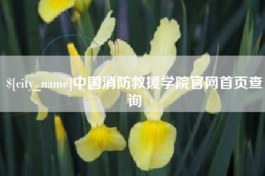 丰城中国消防救援学院官网首页查询