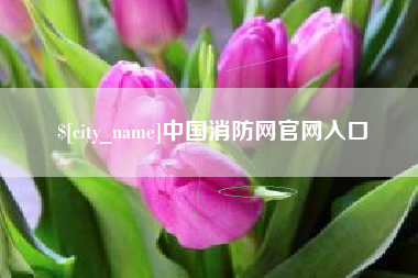 丰城中国消防网官网入口